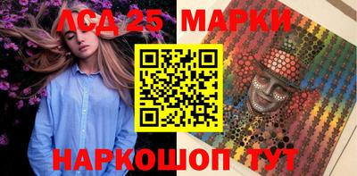 шишки Моздок